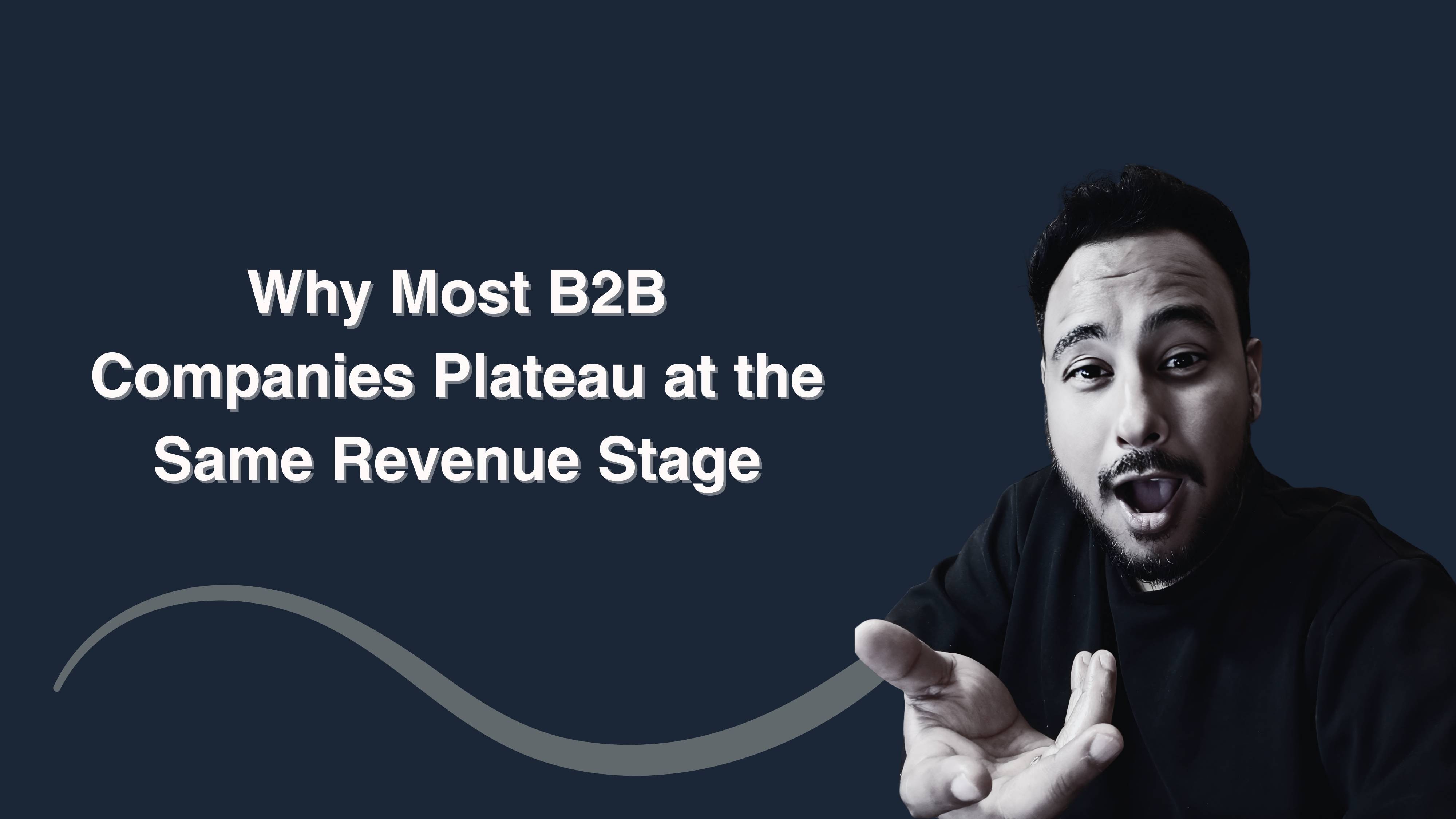 B2B Revenue Plateau