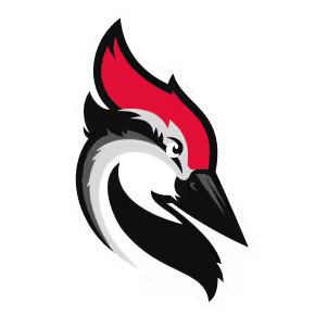 Woodpecker Logo